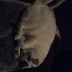 Meet your Posher, Justin